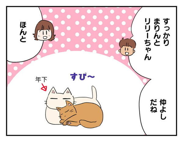 「連れて来いってママが」脱走した猫のお迎えを子どもに丸投げ！？顔を出さないママ友に抱いた違和感