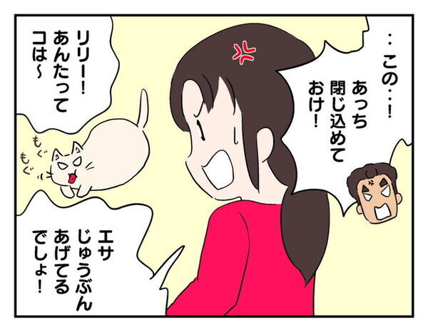 子「捨てちゃうの！？」母「できるものなら…」引越しで猫を邪魔者扱い！？飼い主の自己中すぎる本性