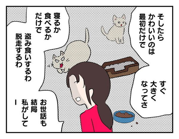 ママ友「猫を飼ったのはあなたのせい！」飼い猫を押し付け被害者ヅラ！？さらに放ったありえない要求