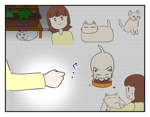 ママ友「じゃなきゃ保健所行きよ！」最低すぎる開き直りに⇒私「待ってください！」とっさに返した言葉