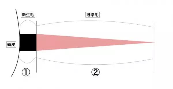 全員、白髪があるお客様です！おしゃれ染めで脱白髪染め、＃クリアグレイカラー