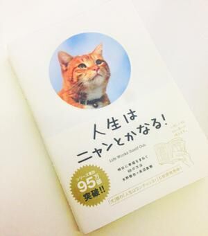 人生は意外とニャンとかなる 仕事に行き詰った 働き女子 を励ます名言3選 14年6月7日 ウーマンエキサイト 1 3