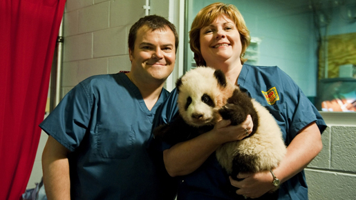ジャック・ブラックがパンダの命名式に出席　授けた名前は役柄と同じ“ポー”！