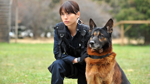 戸田恵梨香、被災地でも活躍している警備犬のハンドラー役で市原隼人と共演