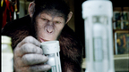 邦題決定『猿の惑星：創世記』　猿が試験管を握る衝撃の画像が解禁！