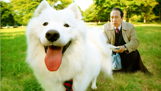 SEAMOも登場！　『犬飼さんちの犬』完成披露試写会に10組20名様ご招待