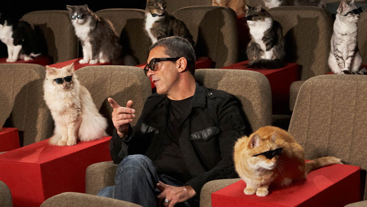 バンデラス、ネコに囲まれヒットを確信？　ハリウッドで“ネコ”限定プレミア開催
