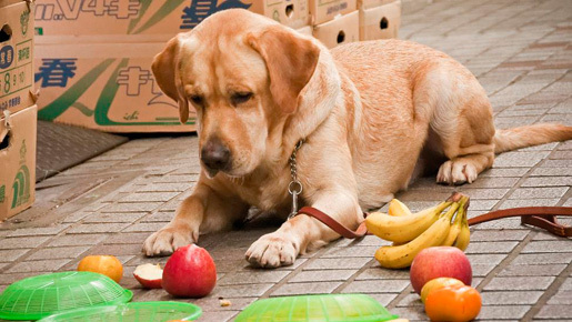おバカで天然のまさお君、映画撮影中も珍騒動!?　その一部写真を入手！
