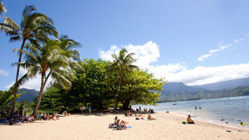 “素顔”を見たら、もっと好きになっちゃいそう。『ファミリー・ツリー』×ハワイ