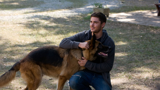 8割以上の女性がザックの“アイドル脱却”に納得！『一枚のめぐり逢い』の反応まとめ