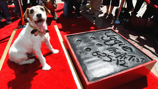 『アーティスト』の名犬・アギー、チャイニーズ・シアターに足型を残す史上初の快挙！