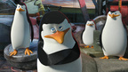 『マダガスカル』頭脳派ペンギンズのスピンオフ製作決定！　痛快ナビゲート映像も到着