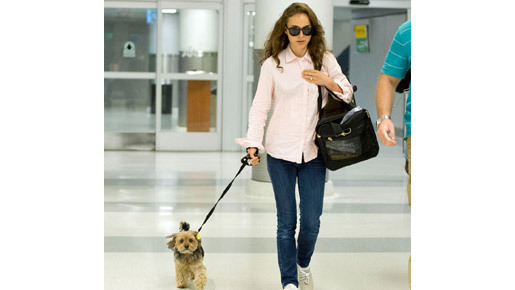 ナタリー・ポートマン、女優業への本格復帰は延期!?