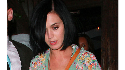 ケイティ・ペリー、オバマ大統領の再選支援コンサートでパフォーマンス決定！