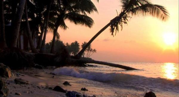 レディオヘッドが協力、“水没する楽園”モルディブの危機に立ち向かう