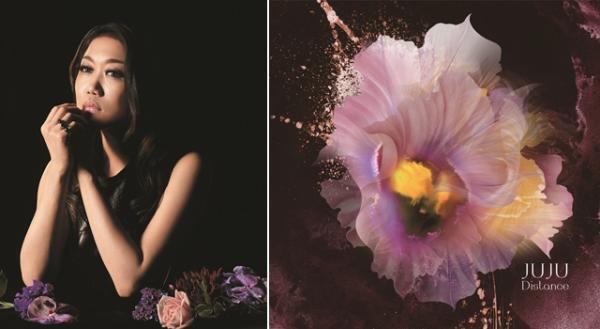 JUJU新曲「Distance」MV…木村多江＆新井浩文が“悲恋”を熱演