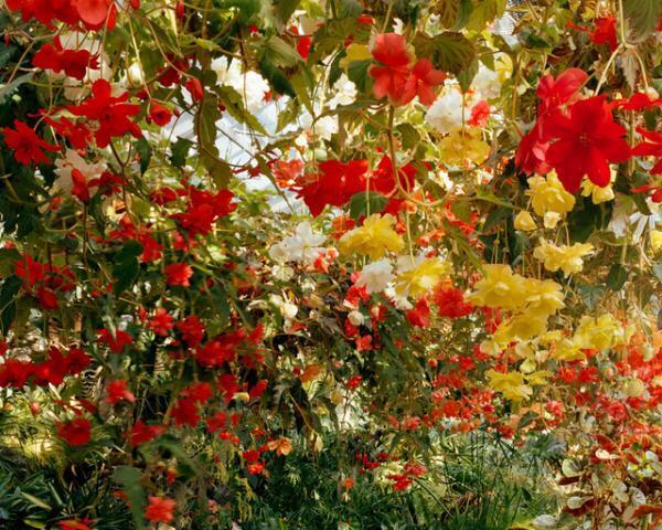 原宿・表参道・青山がアートで盛り上がる「青参道アートフェア」、今年は“写真”にフォーカス