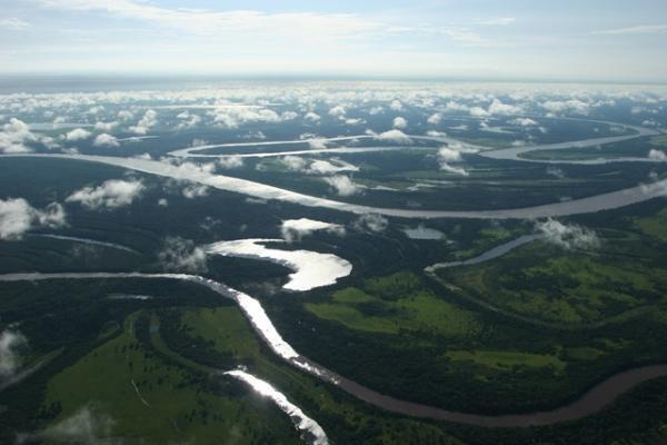 アマゾンに生態系の謎に迫る「大アマゾン展」、国立科学博物館にて開催！