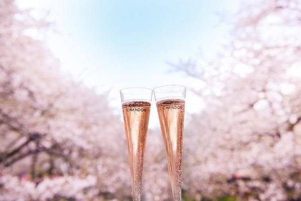 中目黒のお花見イベント、今年も「お花見 CHANDON」 3月初旬から開催！