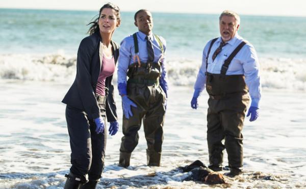 【インタビュー】大ヒット海ドラ「リゾーリ＆アイルズ」…人気の秘密は“脚本”にアリ