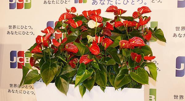 二宮和也にとって“世界にひとつ。”の存在は？　「やっぱり、嵐じゃないですか？」