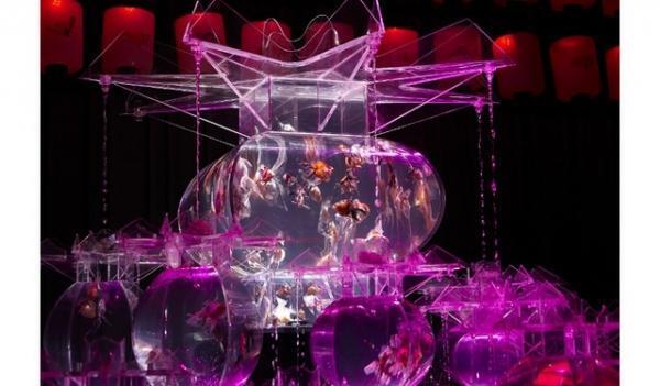 日本橋が「金魚の街」に！ 「ECO EDO 日本橋 アートアクアリウム 2015」開催