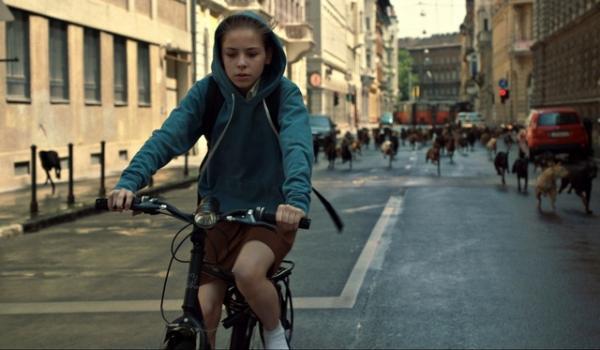 カンヌ「パルムドッグ賞」受賞！ 少女と犬たちの反乱描く『ホワイト・ゴッド』公開決定