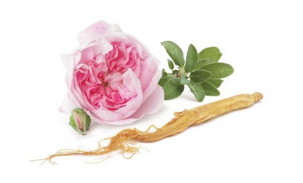 夏枯れをリセットして美と健康を養う、夏の漢方ビューティイベント開催！