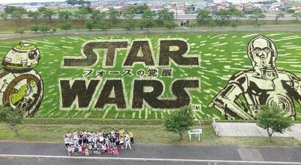 『スター・ウォーズ』田んぼアート、公式“見ごろ宣言”！ 世界へと発信