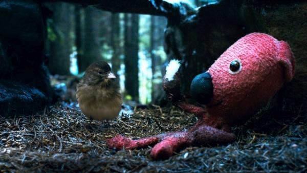 【特別映像】『クーキー』パペットのピンチを救ったのは…“鳥”!?