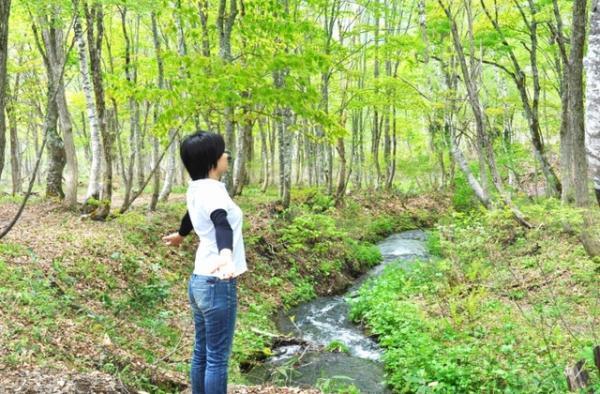 秋の行楽で癒し系アウトドア体験！妙高高原笹ヶ峰でフォレストセラピープラン