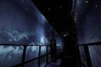 六本木ヒルズ展望台でロマンティックに星空デート！「星空のイルミネーション」開催
