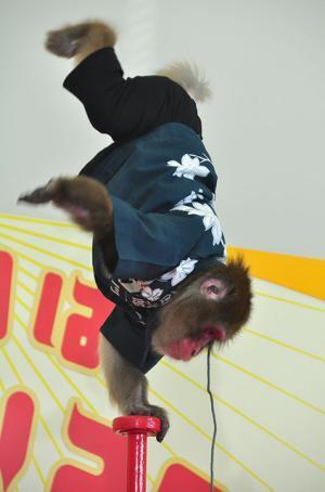 嵐、メンバー5人だけのグループメールで秘密のやり取り？