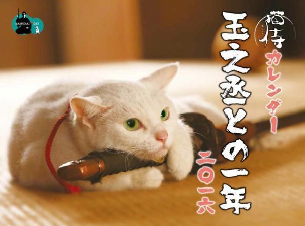 『猫侍』白い美猫・玉之丞の萌えまくる初カレンダー発売決定！