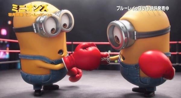 【特別映像】『ミニオンズ』、ライバルのボクシング対決の行方は!?