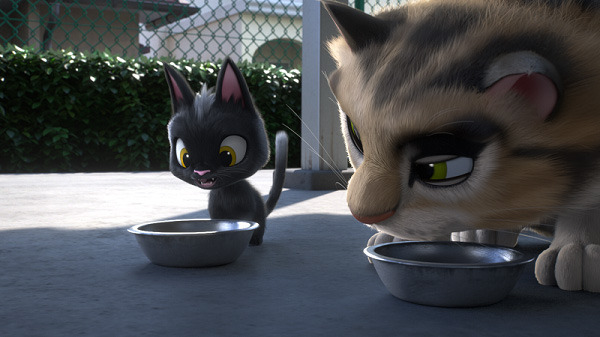 井上真央＆鈴木亮平、猫声初公開！特報解禁『ルドルフとイッパイアッテナ』