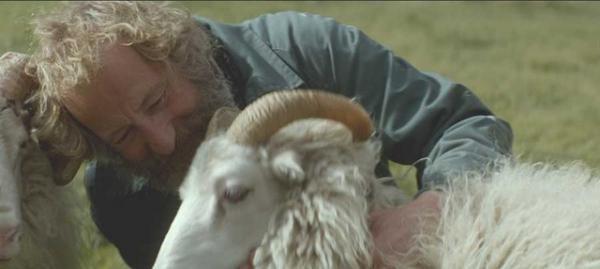 【シネマVOYAGE】アイスランドの美しい自然で描かれる兄弟の絆『ひつじ村の兄弟』