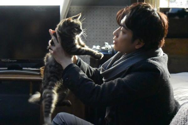 【予告編】佐藤健、大切なものを消すとしたら…『世界から猫が消えたなら』