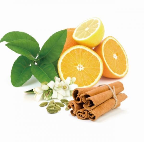 冷え・乾燥が気になる冬、漢方で美と潤いをチャージ！ 「ニホンドウ漢方ミュージアム」