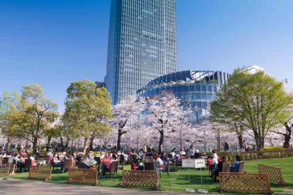 東京ミッドタウン「Midtown Blossom 2016」でお花見グルメ＆スイーツを満喫！