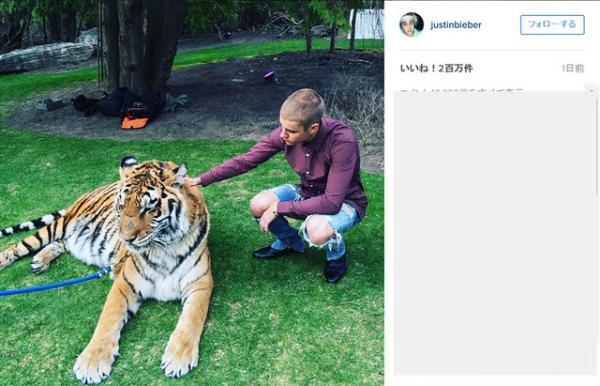 J・ビーバーも参加、父の婚約パーティーで“女体盛り”と“虎”が登場!?