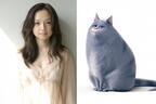 永作博美、『ペット』で姉御肌の猫に抜擢！ 「無愛想さがかわいい」