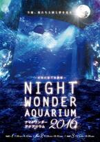 月に照らされる“夜の水族館”…新江ノ島水族館で「ナイトワンダーアクアリウム」開催