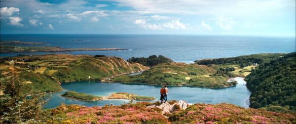 【特別映像】緑豊かなアイルランドの大自然を堪能！『フラワーショウ！』