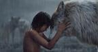 【特別映像】ルピタ・ニョンゴが語る母オオカミの愛…『ジャングル・ブック』