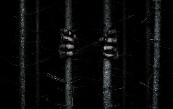 その森、危険！米版『デスノート』監督が贈る謎のスリラー『ザ・ウッズ』公開へ