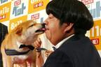 バナナマン日村、SNS影響力第2位の柴犬とディープキス！「舌が入ってきた」