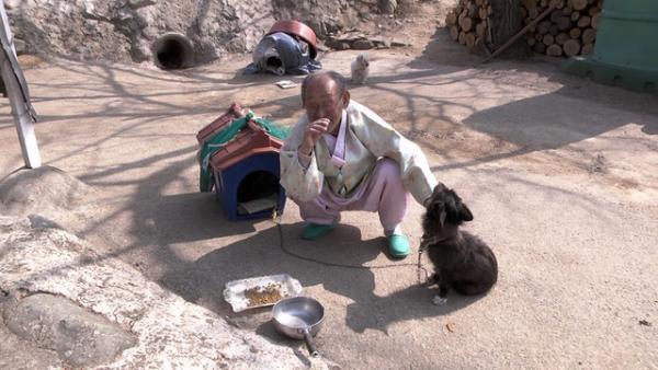 【特別映像】98歳のおじいさん、ワンコを溺愛！『あなた、その川を渡らないで』