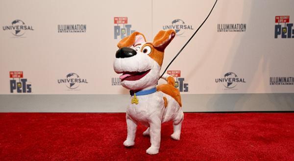 『ペット』世界で大ヒット！早くも続編の公開日が決定