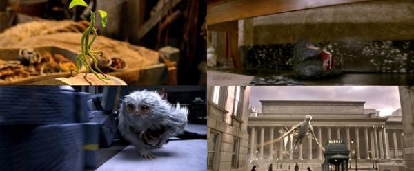 【特別映像】可愛すぎ!? 『ファンタビ』逃げ出した魔法動物が明らかに！